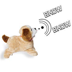 A Soft Toy Fantastic Puppy