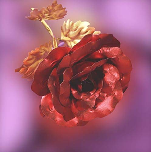 Golden Rose – A Forever Gift