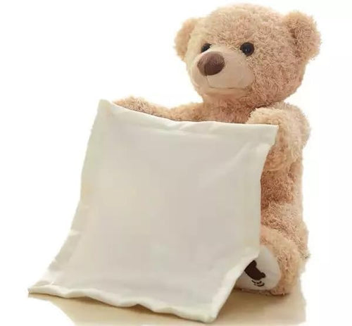 A Peek-Boo Teddy – Cuteness That Plays