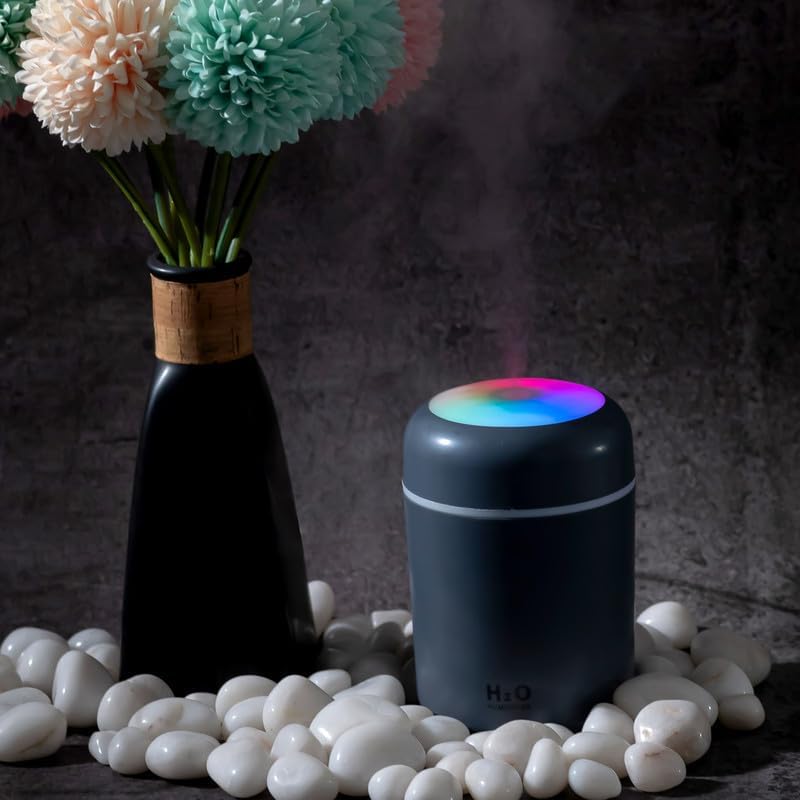 H2O Mini Portable Humidifier