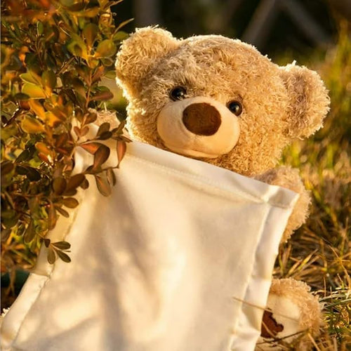 A Peek-Boo Teddy – Cuteness That Plays