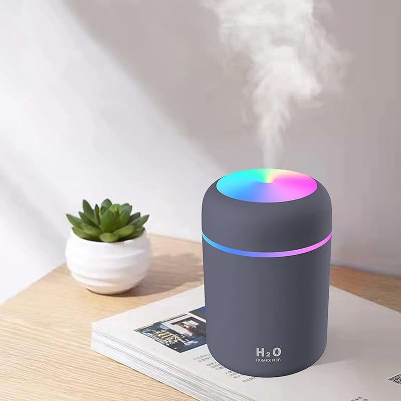 H2O Mini Portable Humidifier